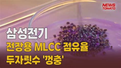 삼성전기 전장용 Mlcc 점유율 두자릿수 껑충 말하는 기자들산업0215 Youtube