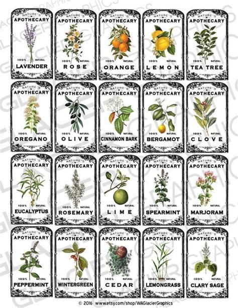 Vintage Herbal Essential Oil Labels Vintage Herbal Oil Apothecary Tags