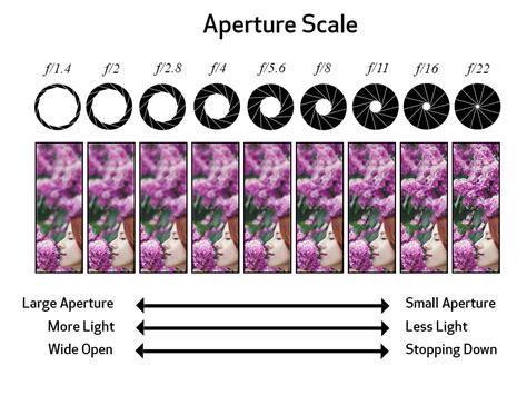 aperture canon educational articles photography guidelines