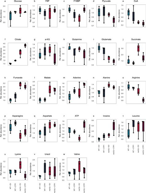 Metaboverse Enables Automated Discovery And Visualization Of Diverse