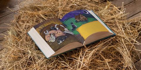 Babe The Sheep Pig First Night At Mr Hogget S Farm Behance