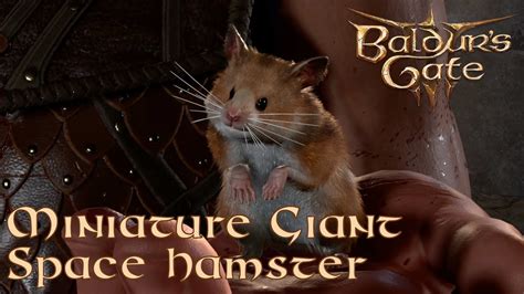 Baldurs Gate 3 Livestream Miniature Giant Space Hamster Youtube