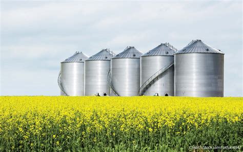 Agronomy Insights Canola Digest