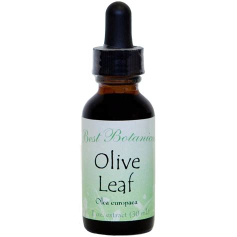 Olive Leaf Extract - BestBotanicals