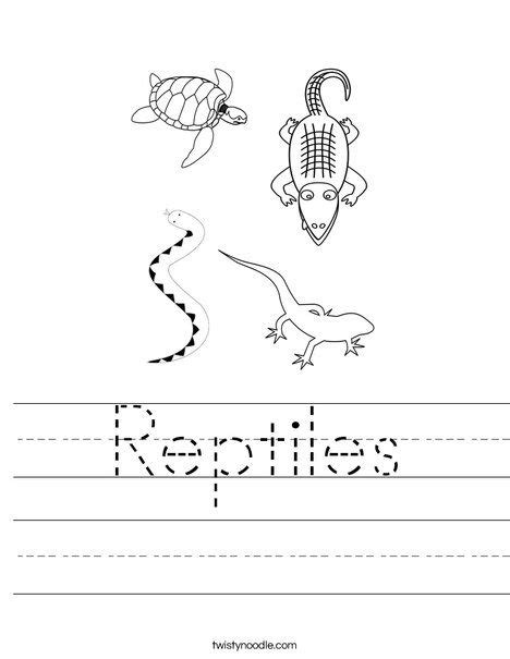 Reptiles Worksheet Reptiles Reptiles Preschool Reptiles And Amphibians