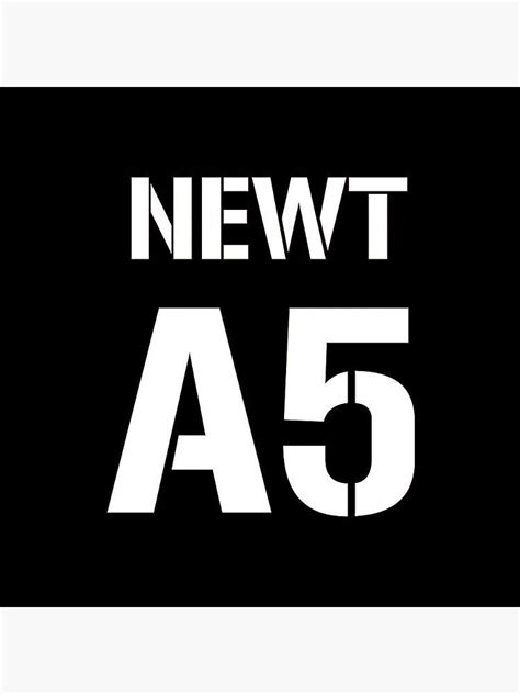 Elevate Your Style With The Newt A5 By Inicases2 May 2024 Medium