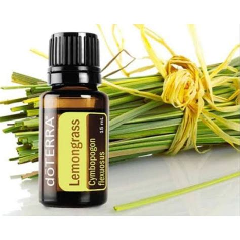 Óleo Essencial de Lemongrass Capim Limão 15ml Do Terra MadeiraMadeira