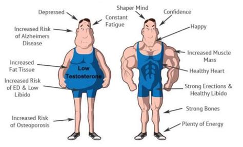 Truth About Testosterone Replacement Therapy CJA Balance UK