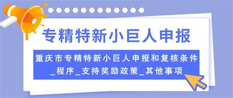 重庆专精特新申报丨2023年汇编—专精特新小巨人申报及复核指南（条件、程序、奖补） 知乎