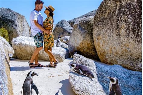 Kaap De Goede Hoop Dagtocht Vanuit Kaapstad Hellotickets