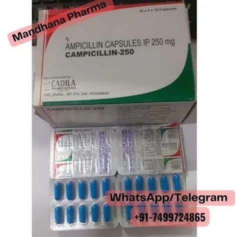 Ampicillin Capsules Ip Mg At Rs Stripe In Nagpur Id