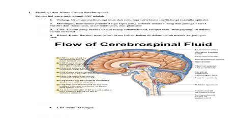 Fisiologi Dan Aliran Cairan Serebrospinal