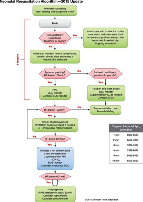 Neonatal Newborn Resuscitation 2015 Update Emergency Medicine Kenya