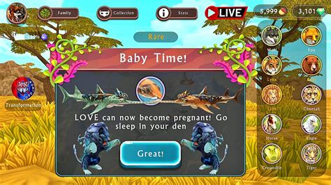 🔴 Live Wildcraft Baby Time On Shark And The Wolf Youtube