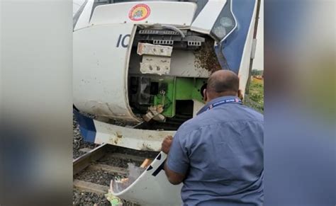 Watch Vande Bharat Train Damaged After Hitting Buffalo Herd In Gujarat