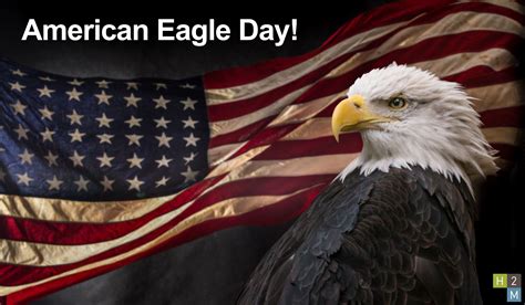 Today Is National American Eagle Day Today Is Designed To Honor Our