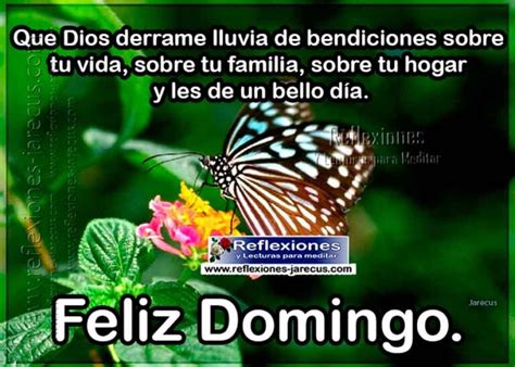 Feliz Domingo Que Dios Bendiga Tu Vida Imàgenes Con Frases