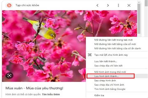 Cách lưu ảnh trên máy tính | Hướng dẫn tải ảnh từ Google