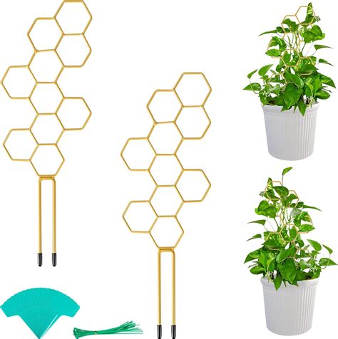 Amazon Tavaleaf Pack Indoor Plant Trellis Honeycomb Shaped