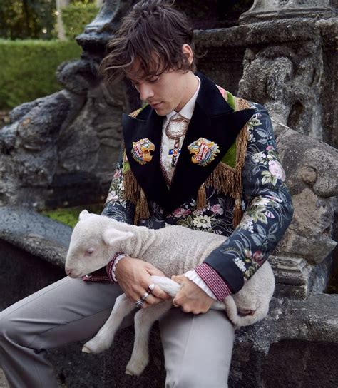 Harry Styles By Glen Luchford For Gucci This Is Glamorous TIG