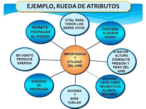 Qué es una Rueda de Atributos 7 Ejemplos 2024 elyex