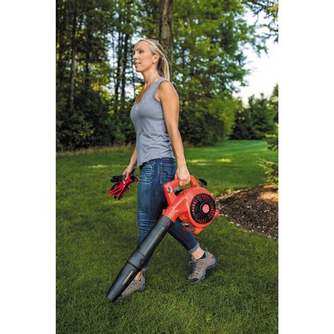 Craftsman B2000 25 Cc 2 Cycle 410 Cfm 180 Mph Gas Handheld Leaf Blower Cmxgaam204101 Sansujyuku