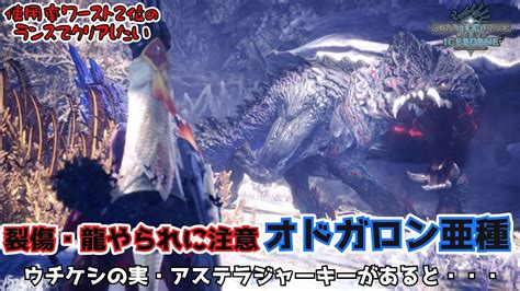 【mhwib】アラおじランス放浪記11 亜種化でさらに凶暴性を増したオドガロン亜種はこちら！属性武器を使う際はウチケシの実を持って