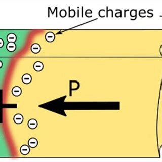 Schematic illustration of the three fundamental types of ferroelectric ... 