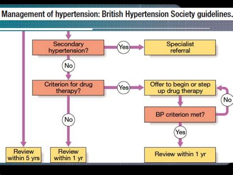 Pathophysiology hypertension.