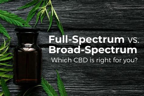 Full Spectrum Vs Broad Spectrum Cbd Whats The Difference The Three Snackateers