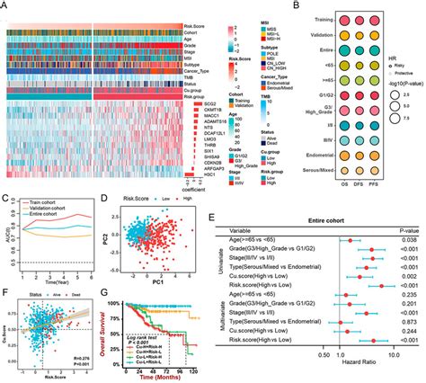 Frontiers A Comprehensive Analysis Focusing On Cuproptosis To