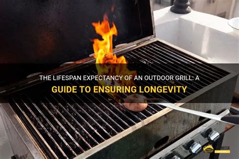 The Lifespan Expectancy Of An Outdoor Grill A Guide To Ensuring Longevity Shungrill