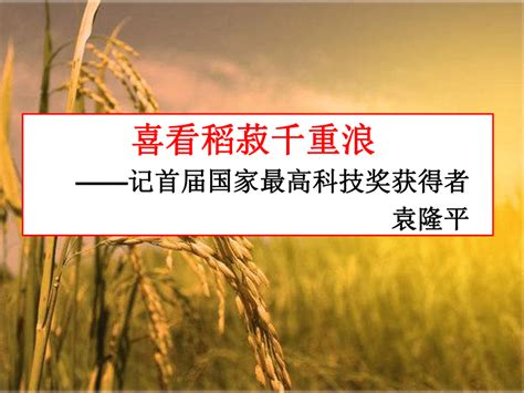 4 1《喜看稻菽千重浪——记首届国家最高科技奖获得者》课件共28张ppt2022 2023学年统编版高中语文必修上册 21世纪教育网