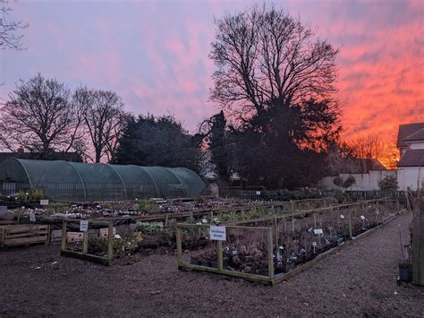 Grove House Plants | Greatham