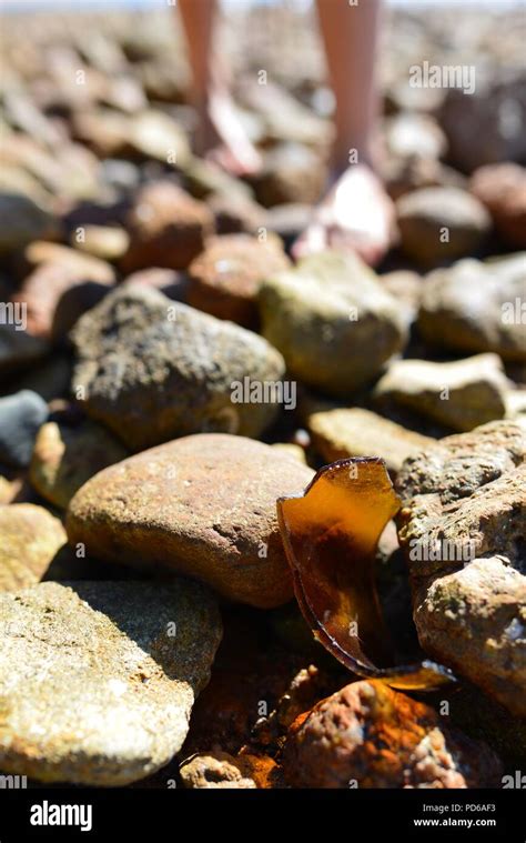 Glas Aus Einer Bierflasche An Einem Strand Mit Gebrochen Fotos Und