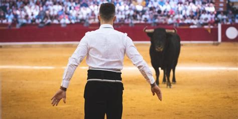 La Tauromaquia En México Tradición Y Controversia