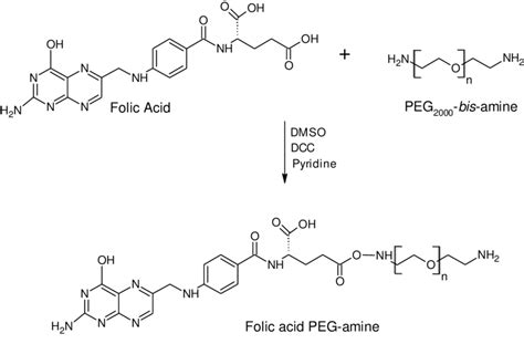 Synthesis Of Folic Acid Peg Amine From Folic Acid And Peg Bis Amine