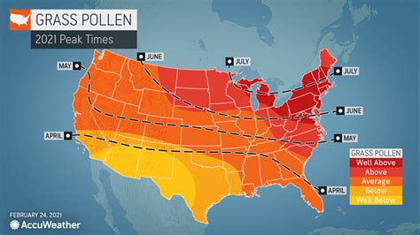 When Will Allergy Season Peak In 2021 An Allergy Forecast