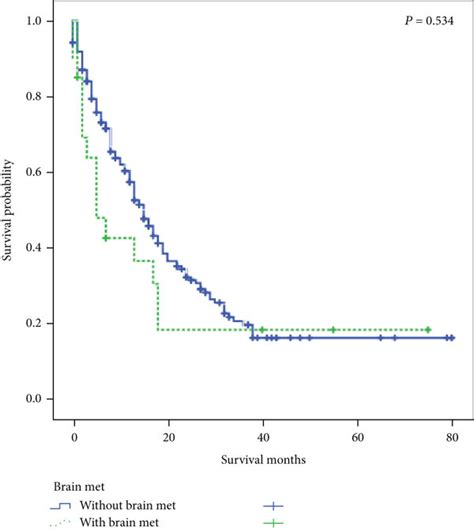 The Kaplanmeier Analysis Of Overall Survival Among Patients Diagnosed