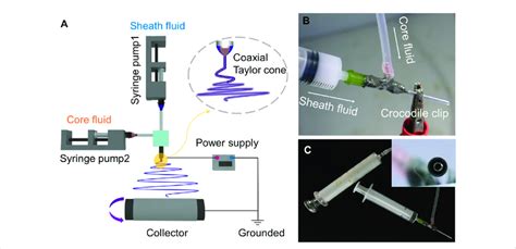 Schematic Diagram Of Coaxial Electrospinning Process A Connection