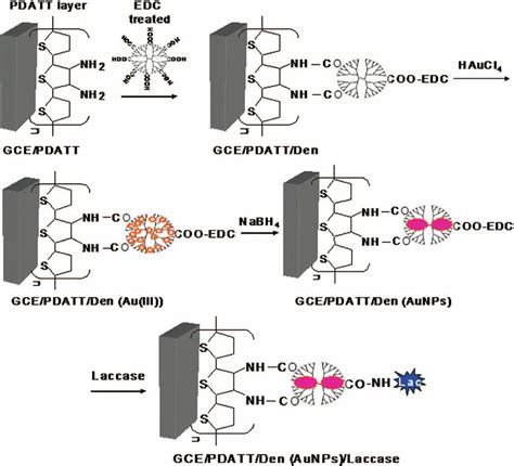 Schematic Representation Of The Fabrication Of Download Scientific