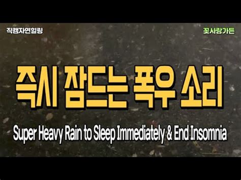 직캠자연힐링 소음을 차단하고 즉시 잠드는 거센 폭우 소리 Super Heavy Rain to Sleep Immediately