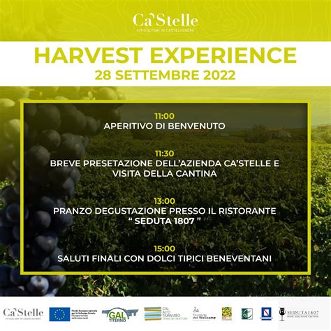 EVENTO HARVEST EXPERIENCE Gal Alto Tammaro