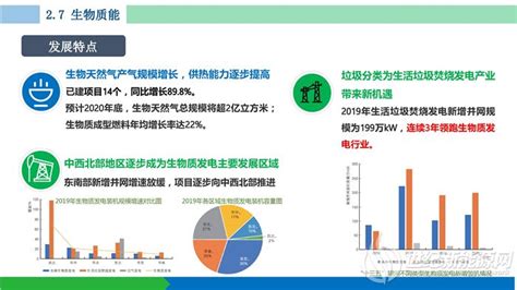 中国可再生能源发展报告2019世纪新能源网 Century New Energy Network