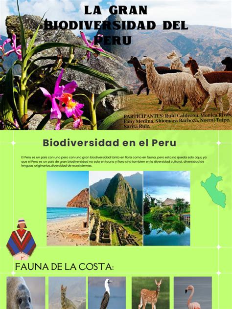 La Biodiversidad Del Peru Diapositivas Pdf Perú Biodiversidad