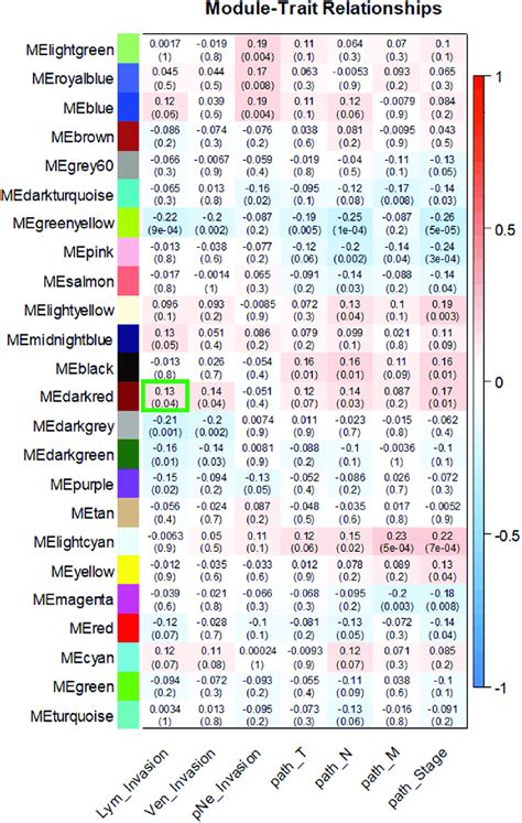 Module Trait Relationship Matrix Correlating MEs With Clinical Traits