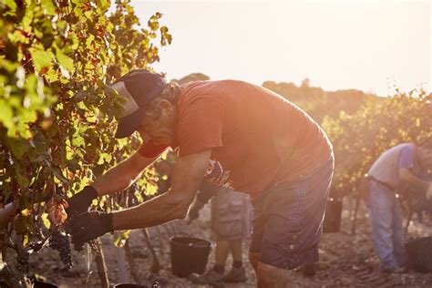 The Heat Wave Crushing The West Is A Preview Of Farmworkers Hot Future