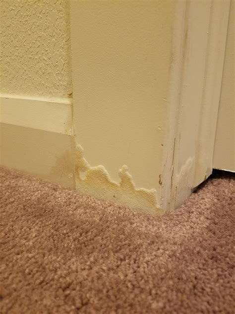 Any Idea What This Could Be Baseboard In Basement Swollen But Never