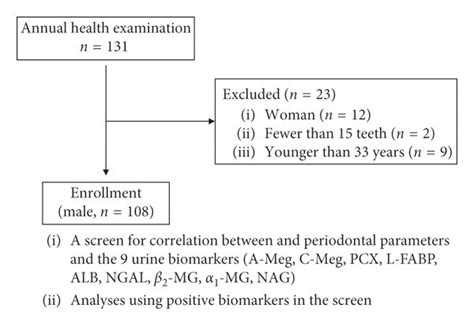 Flow diagram showing the progress of the study. A-Meg, A-megalin ...