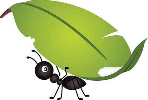 12 100 Ant Illustrations Royalty Free Vector Graphics And Clip Art Istock